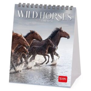 Wild Horses Easel Desk Calendar 2027