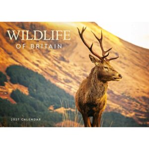 Wildlife Of Britain A4 Calendar 2027