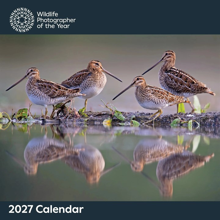 Wildlife Photographer Of The Year Calendar 2027