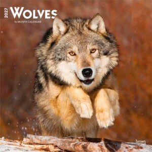 Wolves Calendar 2027