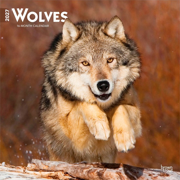 Wolves Calendar 2027