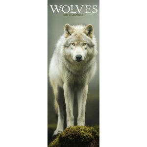 Wolves Slim Calendar 2027