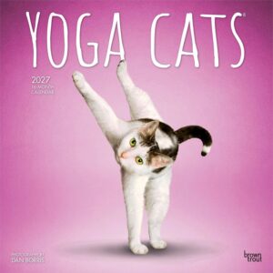 Yoga Cats Calendar 2027