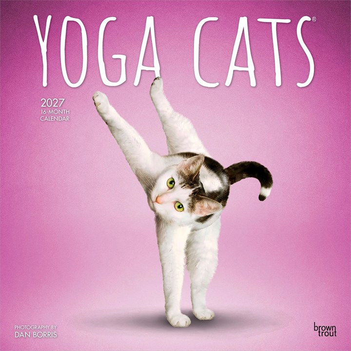 Yoga Cats Calendar 2027