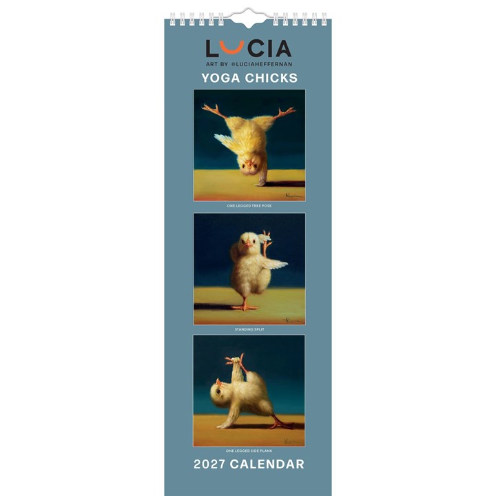 Yoga Chicks Slim Calendar 2027