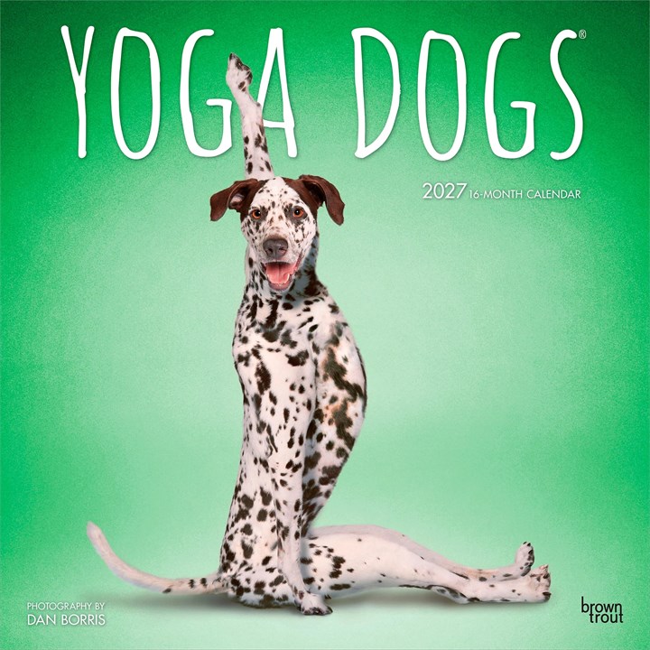 Yoga Dogs Calendar 2027