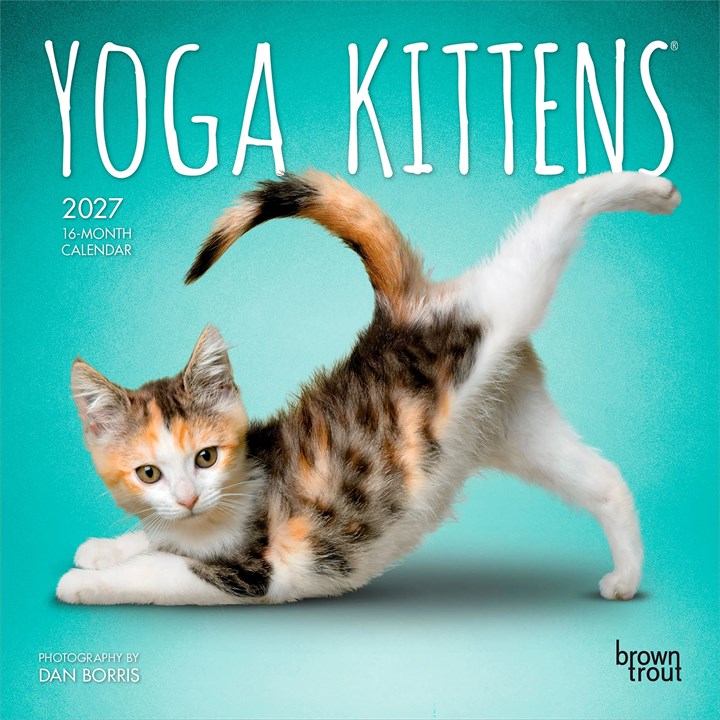 Yoga Kittens Mini Calendar 2027