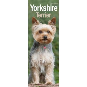 Yorkshire Terrier Slim Calendar 2027