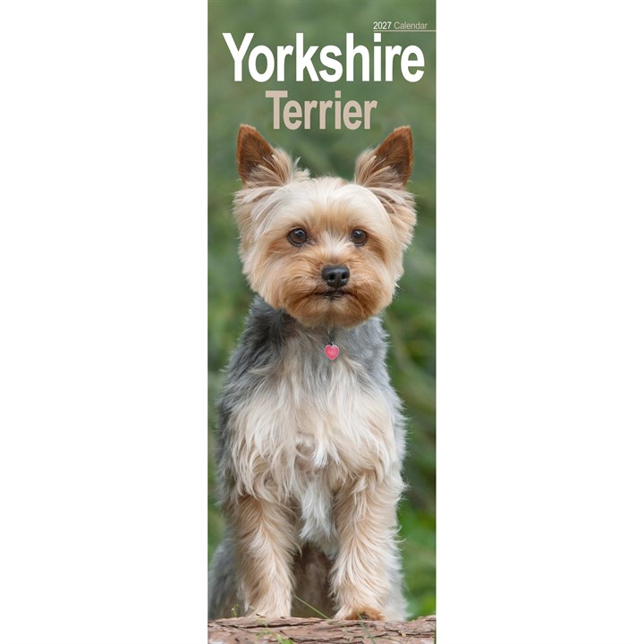 Yorkshire Terrier Slim Calendar 2027