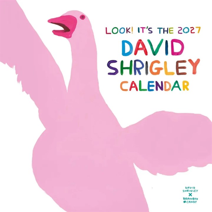 David Shrigley Calendar 2027