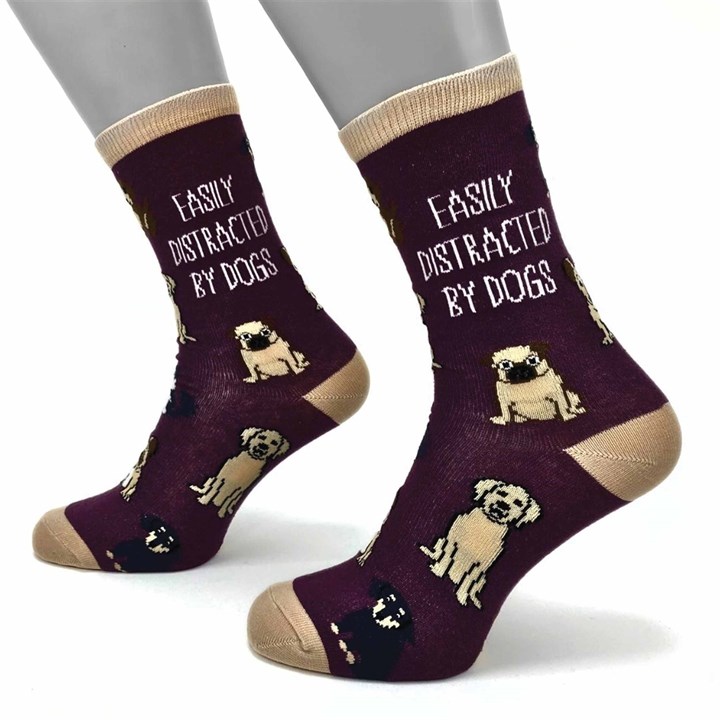 Easily Distracted By Dogs Socks - Size 4 - 8
