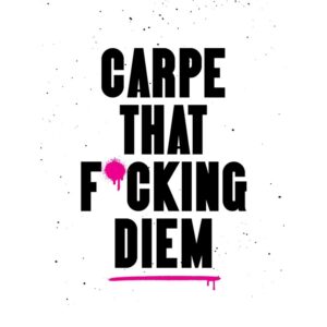 Carpe That F*cking Diem Book