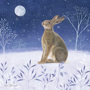 Festive Midnight Hare