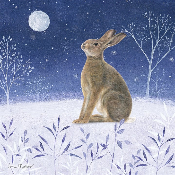 Festive Midnight Hare