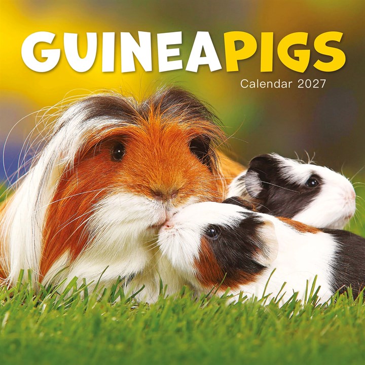 Guinea Pigs Mini Calendar 2027