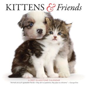 Kittens & Friends Calendar 2027