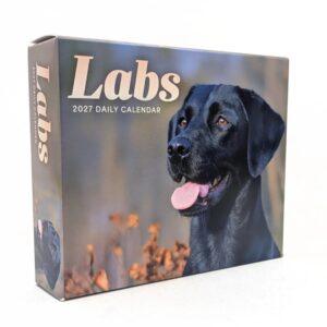 Labrador Retrievers Desk Calendar 2027
