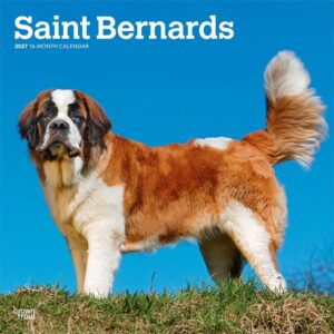 Saint Bernards Calendar 2027