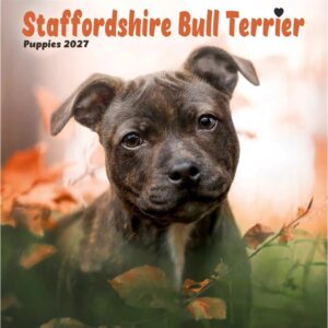 Staffordshire Bull Terrier Puppies Mini Calendar 2027
