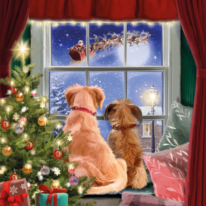 Watching Santa