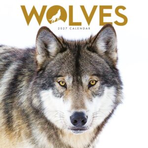 Wolves Mini Calendar 2027